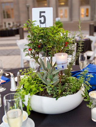 Фишка свадьбы: зелень. Идеи и вдохновение