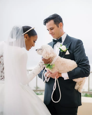 30 восхитительных способов красиво нарядить собаку на свадьбу