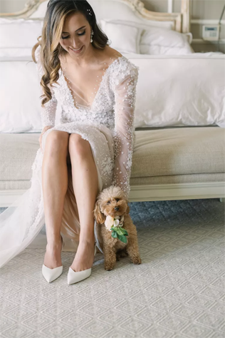 30 восхитительных способов красиво нарядить собаку на свадьбу