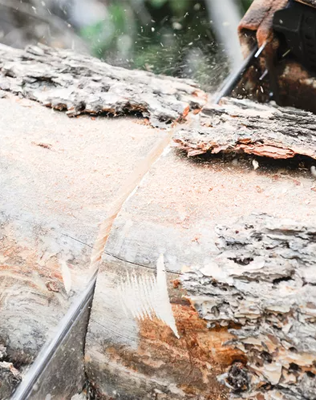 Германия: Распиливание бревна