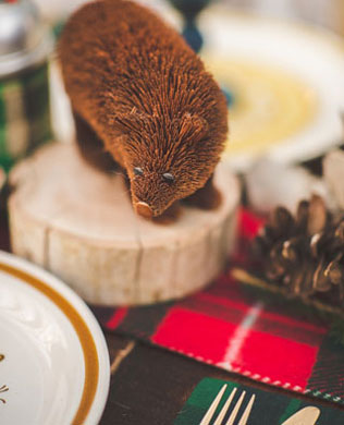 зимняя фотосессия лав стори, пикник на свежем воздухе
