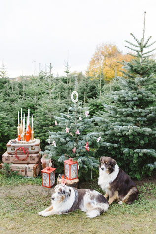 зимняя фотосессия лав стори, зимняя сказка
