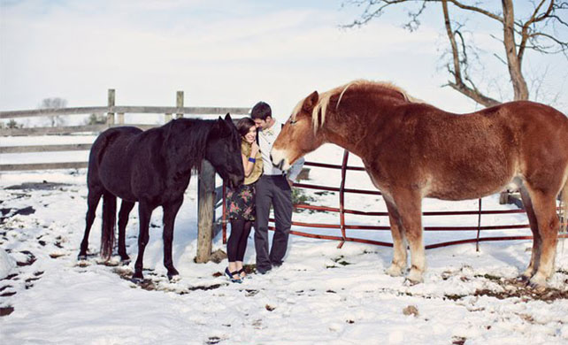 зимняя фотосессия лав стори с животными