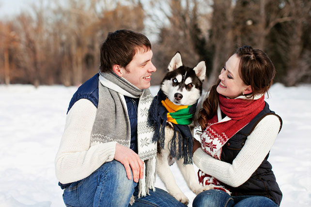 зимняя фотосессия лав стори с животными
