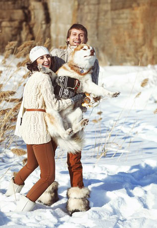 зимняя фотосессия лав стори с животными