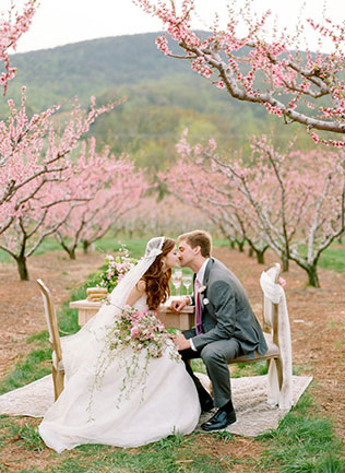 Свадьба для двоих, пикник для жениха и невесты