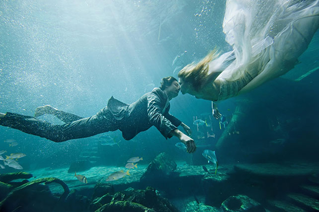 экстремальная свадьба для двоих