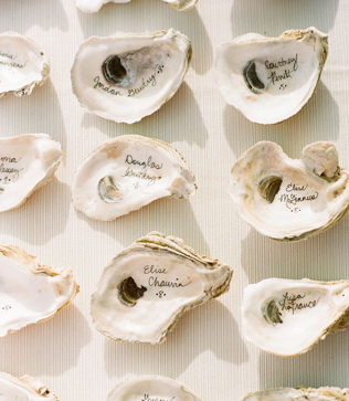 60 оригинальных идей для дизайна рассадочных карточек, ракушки