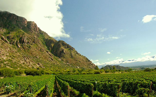 Кафаяте, Аргентина