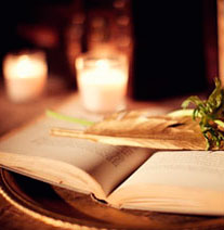 тематическая свадьба по фильму «Воды слонам»