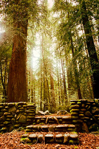 тематическая свадьба по фильму «Сумерки. Сага»