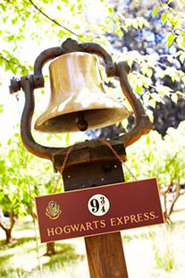 тематическая свадьба по фильму «Гарри Поттер»