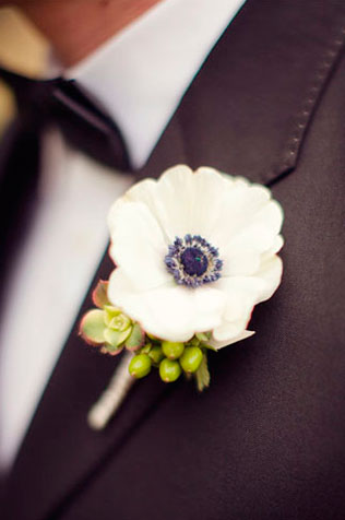 тематическая свадьба по фильму «Воды слонам»