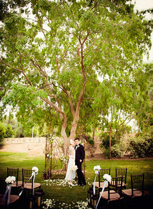 тематическая свадьба по фильму «Воды слонам»