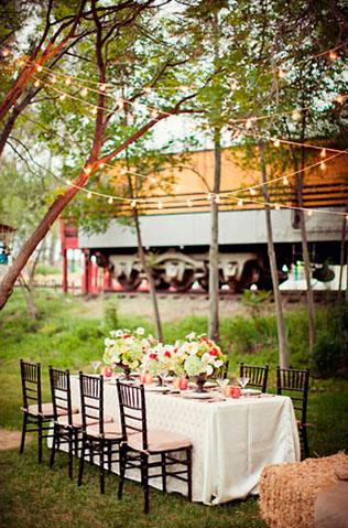 тематическая свадьба по фильму «Воды слонам»