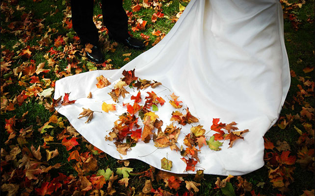 осенняя свадьба
