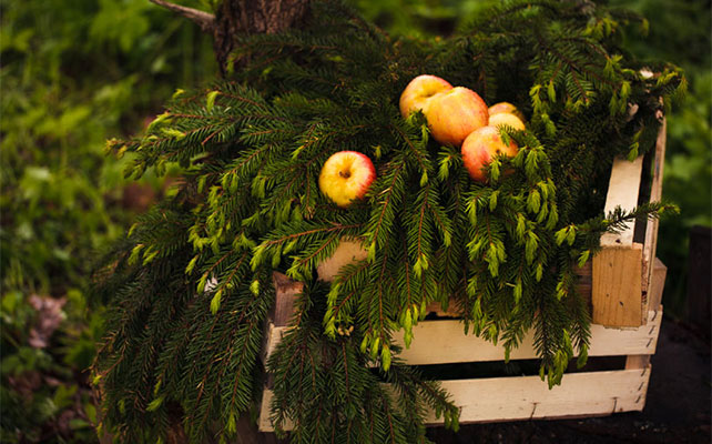 осенняя свадьба, яблоки в декоре