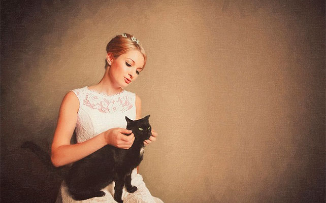 кошки на свадьбе