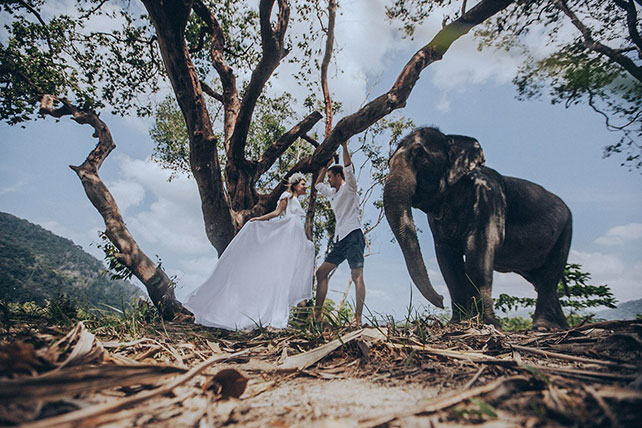 Фотограф Александра Бодрова