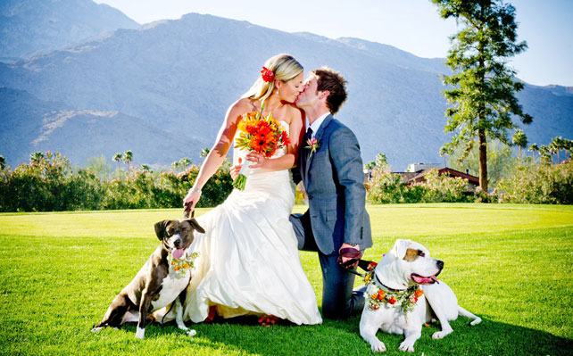 свадебная фотосессия