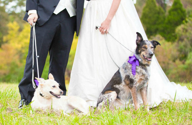 свадебная фотосессия