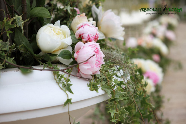 Евгений Юровский, ABSOLUTFLORA 