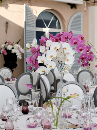 Алеся Колодина, Wedding Angels 