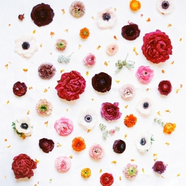 Свадебное вдохновение: 12 аккаунтов флористов в Instagram