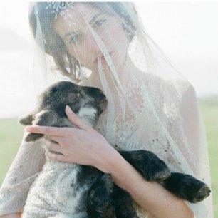 Вдохновение: любимые питомцы на свадебной фотосессии