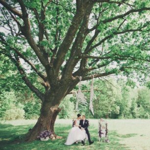 Свадьба в лесу: все за и против