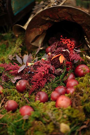 Фотопроект Blogger Bride, стиль бохо, в лесу, труба, яблоки
