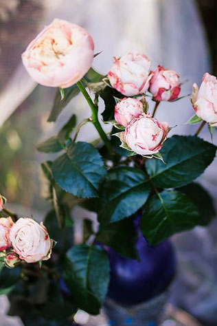 Фотопроект Blogger Bride. Часть 2, декор фотосессии розы