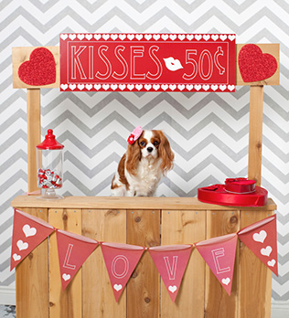 будка для поцелуев на свадьбе