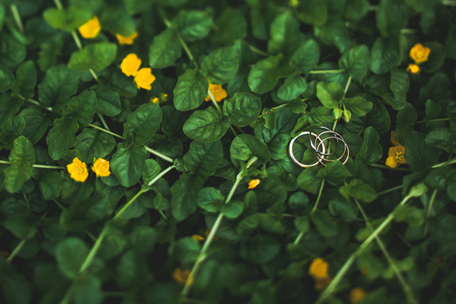 Сергей и Евгения, фотографы Bumble-Bee 