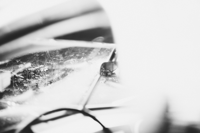 Сергей и Евгения, фотографы Bumble-Bee 