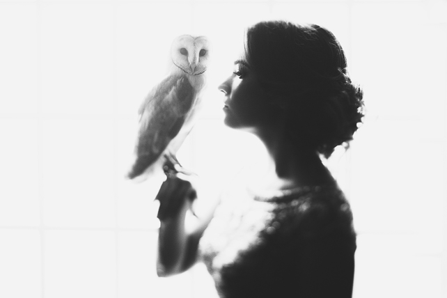 Сергей и Евгения, фотографы Bumble-Bee 