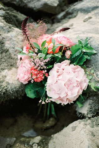 Букет невесты: что символизируют любимые цветы? Гортензия