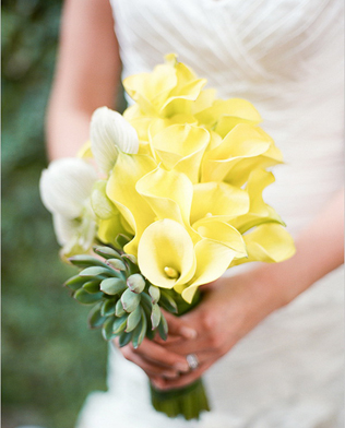 Букет невесты: что символизируют любимые цветы? Каллы