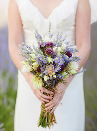 Букет невесты: что символизируют любимые цветы? Лаванда