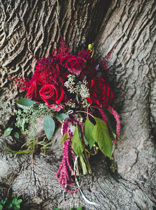 Букет невесты: что символизируют любимые цветы? Розы красные