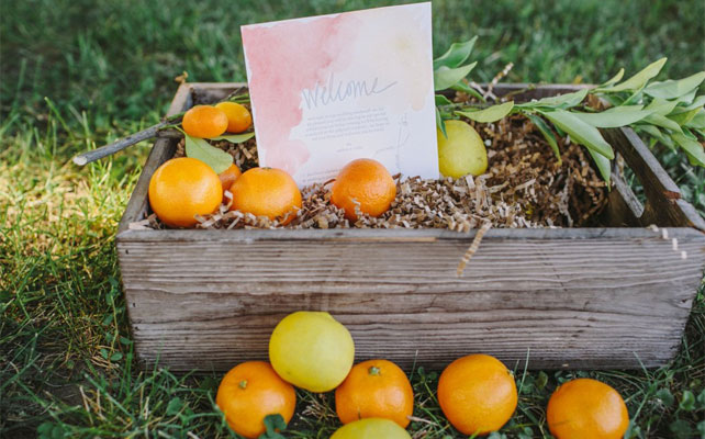 цитрусовая свадьба, декор