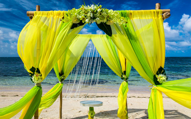 цитрусовая свадьба, свадебная арка