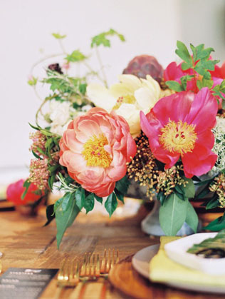 В центре внимания: сказочные пионы Claire de Lune 