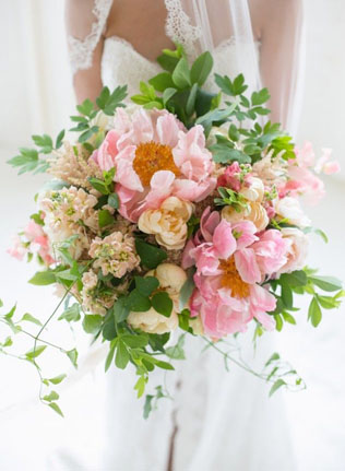 В центре внимания: сказочные пионы Claire de Lune 