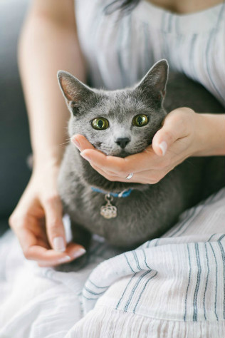 5 самых простых способов избавиться от стресса - The-wedding.ru