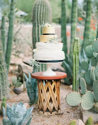 декор летней свадьбы, кактусы в декоре свадьбы