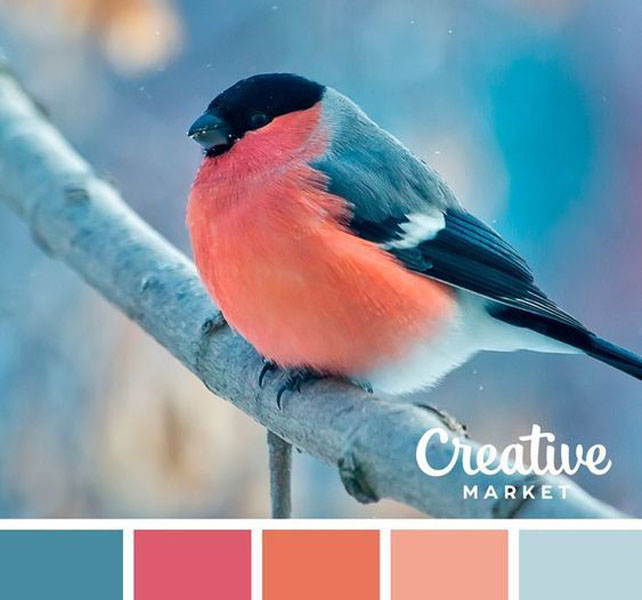 свадебная палитра на основе раскладки Pantone, Основные цвета, которые станут отправной точкой для создания свадебного декора, должны сочетаться между собой. Экспериментировать с палеткой оттенков легко, использую всемирно известную раскладку Pantone. Вдохновение лучше всего искать у самой природы: естественные сочетания самые удачные и гармоничные.