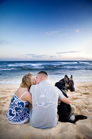 домашние любимцы на свадьбе, помолвка