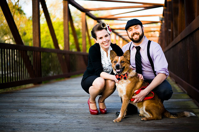 домашние любимцы на свадьбе, помолвка