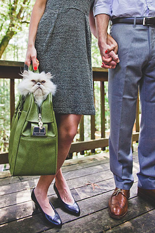 домашние любимцы на свадьбе, помолвка